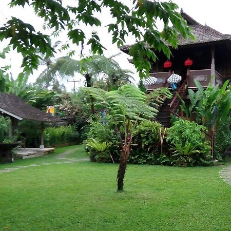 Bali Mountain Retreat Βίλα Selemadeg  Εξωτερικό φωτογραφία