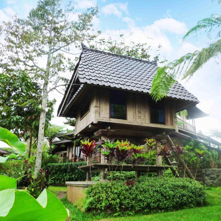 Bali Mountain Retreat Βίλα Selemadeg  Εξωτερικό φωτογραφία