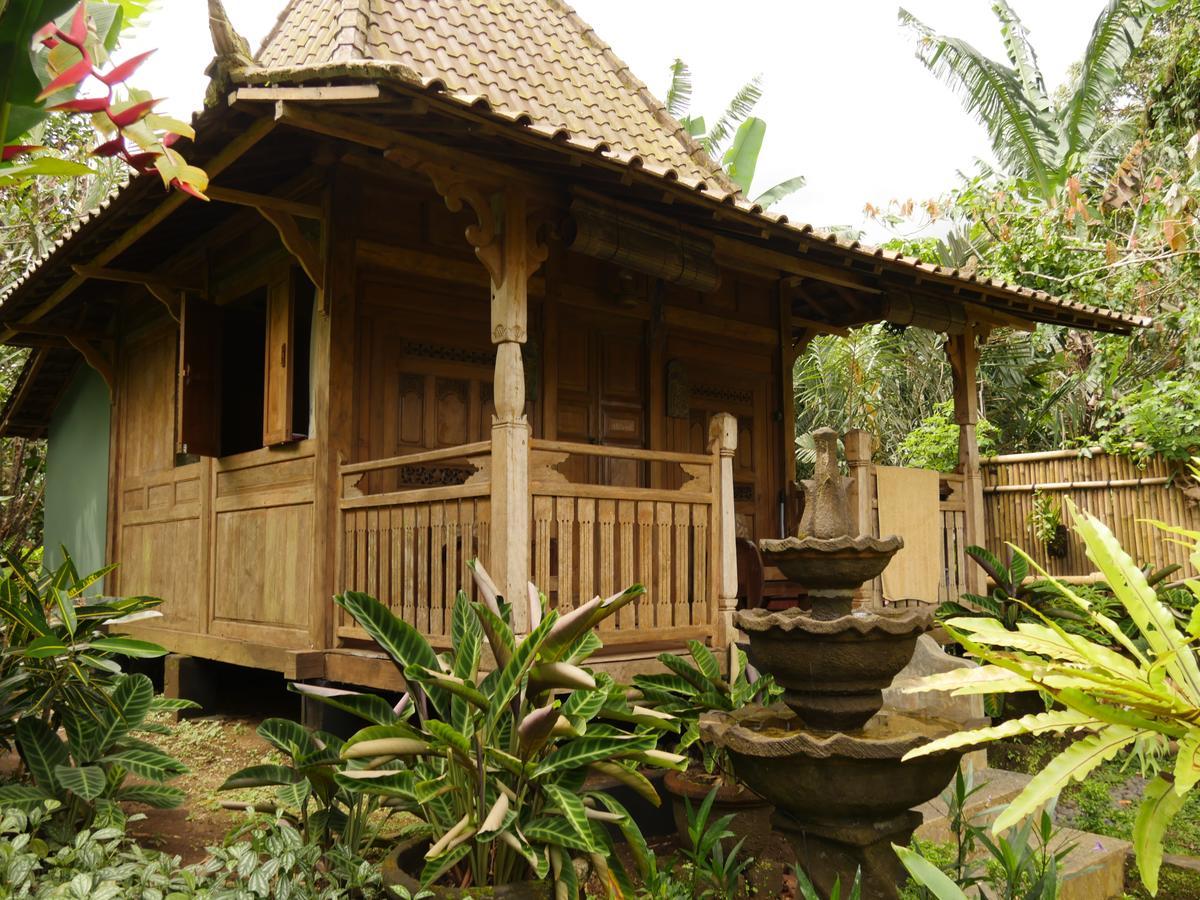 Bali Mountain Retreat Βίλα Selemadeg  Εξωτερικό φωτογραφία