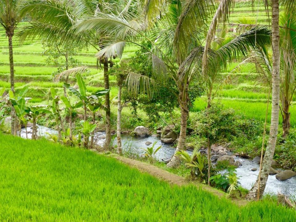 Bali Mountain Retreat Βίλα Selemadeg  Εξωτερικό φωτογραφία