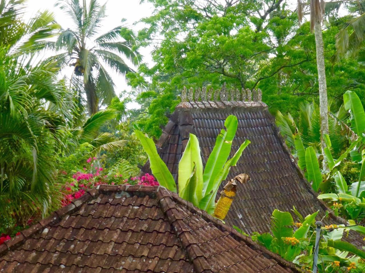Bali Mountain Retreat Βίλα Selemadeg  Εξωτερικό φωτογραφία