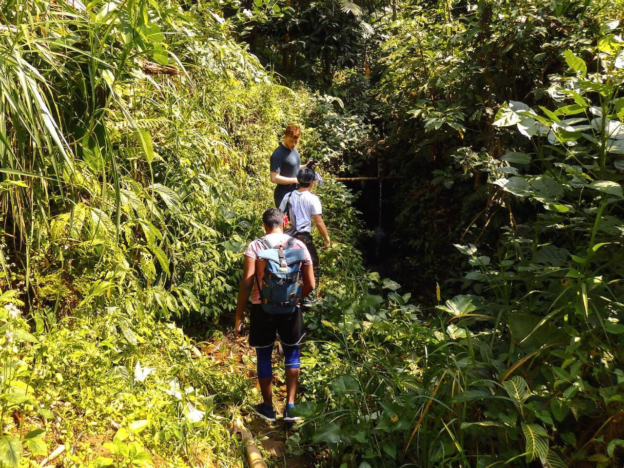 Bali Mountain Retreat Βίλα Selemadeg  Εξωτερικό φωτογραφία