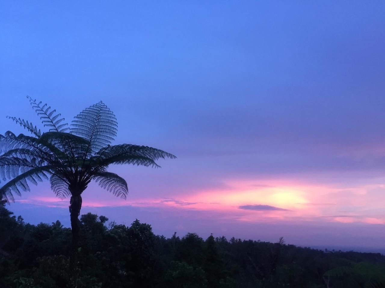 Bali Mountain Retreat Βίλα Selemadeg  Εξωτερικό φωτογραφία