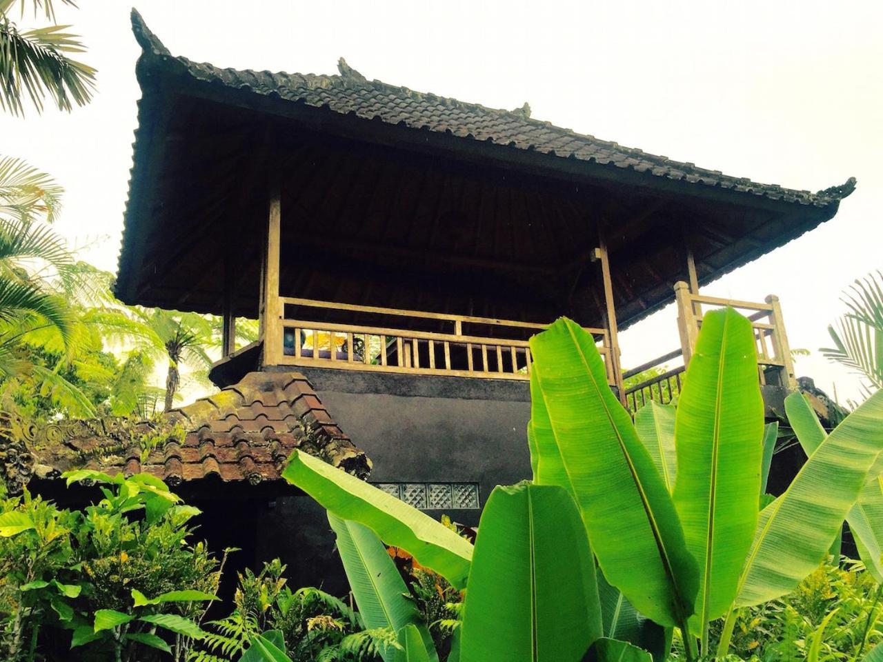 Bali Mountain Retreat Βίλα Selemadeg  Εξωτερικό φωτογραφία